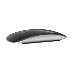 Apple Magic Mouse Black w/ Silver aluminum